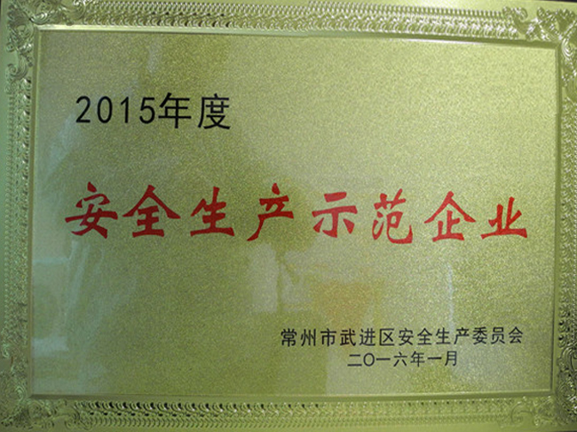 安全生產示范企業(yè)